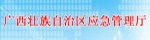广西壮族自治区应急管理厅