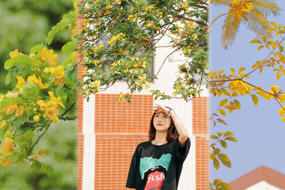 安职四季（组图）